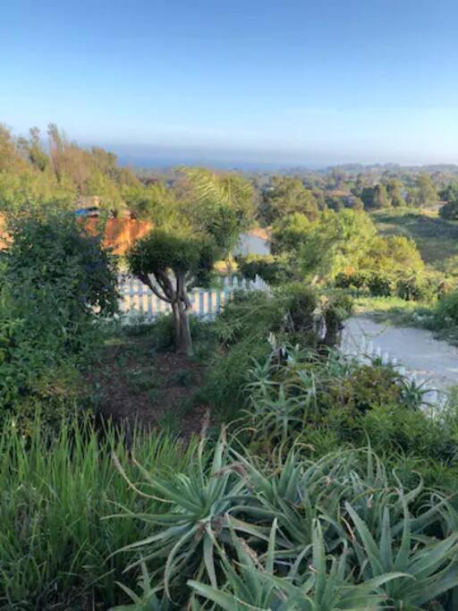 30 Pct Off!! Limited Time! Malibu Zen Guest Suite, Near Beach & Hiking Trails, Central Location Exteriör bild